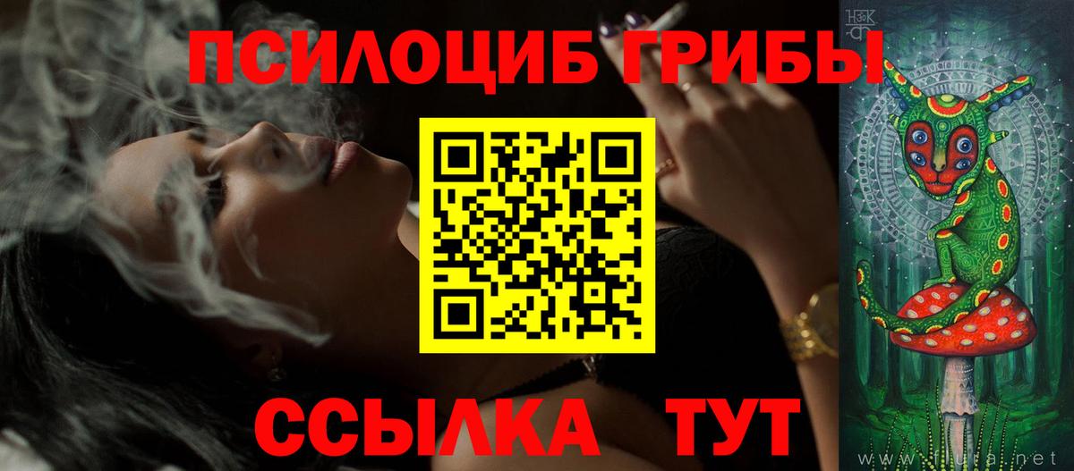 Галлюциногенные грибы Psilocybine cubensis Воткинск